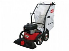 Bladblazer / -zuiger